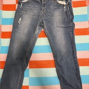 Zanadi Distressed Blue Skinny Jeans